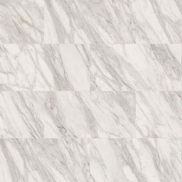 [LPSE259550.] Fritz Expression (9550 Marble)